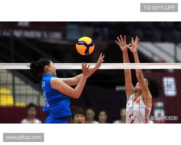 上海排球队选拔赛表现分析力量与技巧的完美结合