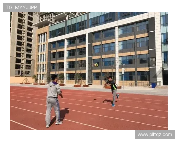 专访赵强：探寻排球领域的成功秘诀与未来发展之路