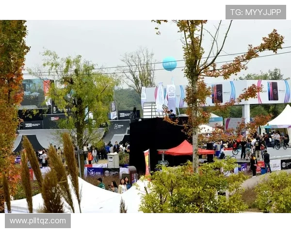 成都极限运动队的边路渗透策略及其对极限运动发展的影响分析