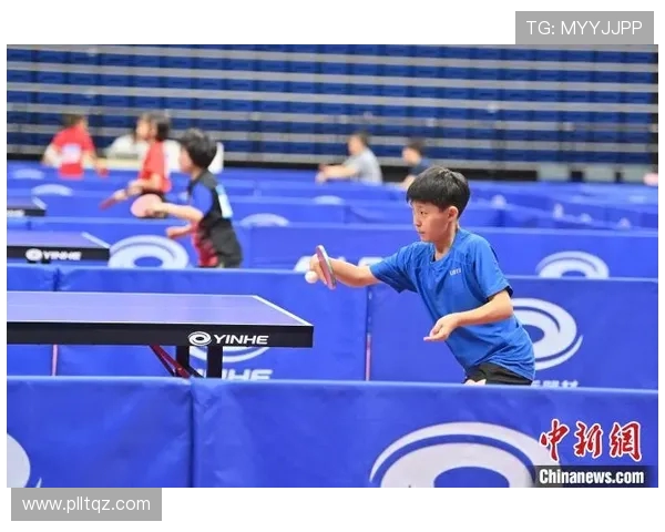杨伟独家分享乒乓球技巧与心得体会助你提升球技的秘密解析