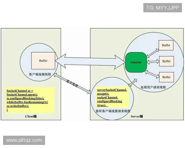 《深入解析Elk射手的技能特点与战术运用策略》