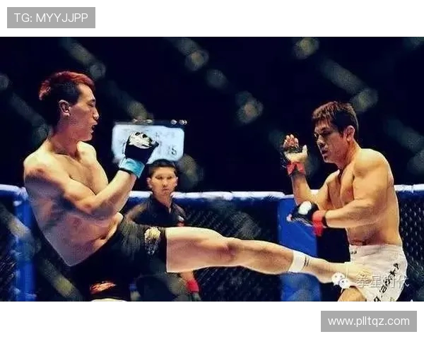 史鸿飞的传奇人生与创新精神在当代社会的深远影响与启示