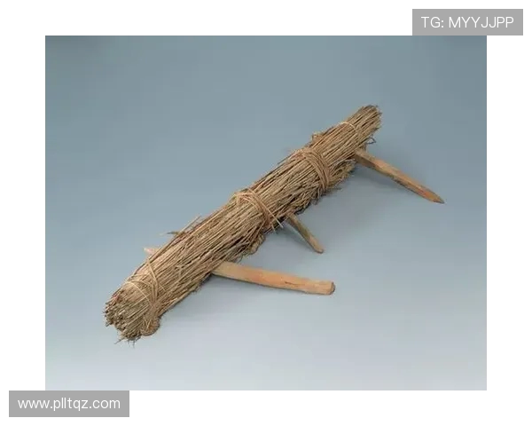 弗罗拉与希腊人之间的较量揭示了古代文明的碰撞与融合